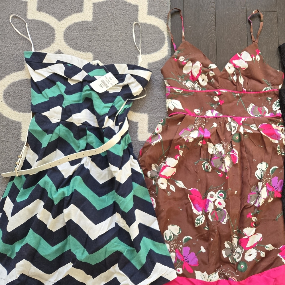 Chevron and Floral Dress Duo